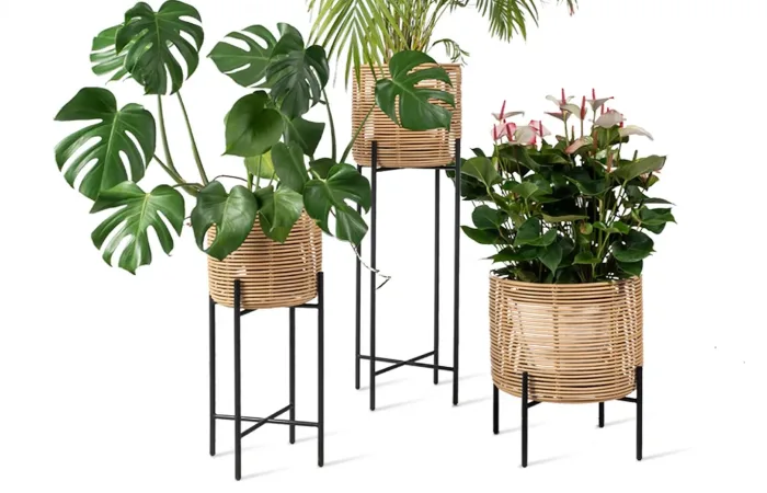 vivi plant stands ls2