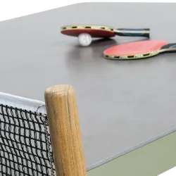 Play DiningPing Pong Table LS4