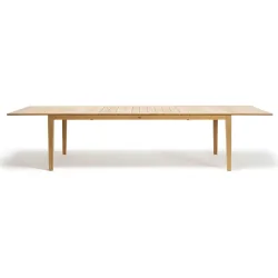 ribot ext table 3