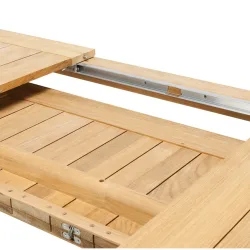 ribot ext table ls1
